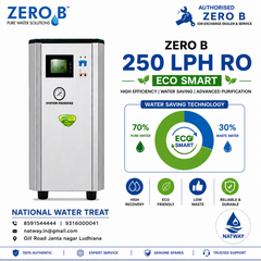 Zero B 250 LPH Eco Smart RO